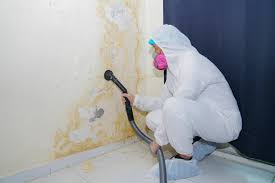 Mclean, TX Mold Prevention & Removal  Company